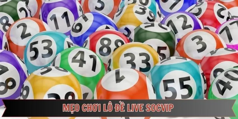 Kinh nghiệm khi cá cược lô đề live Socvip thắng lớn