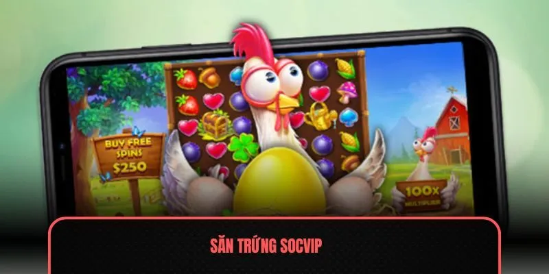 Săn Trứng Socvip